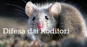 disinfestanti-per-roditori Disinfestanti