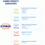 detergenti-concentrati-erogati-da-Gynius-GT1025IT-150x150 Distributore Detergente Gynius - Arco Chimica